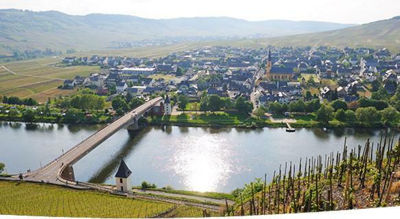 Galerie Riesling Ξενοδοχείο Trittenheim Εξωτερικό φωτογραφία