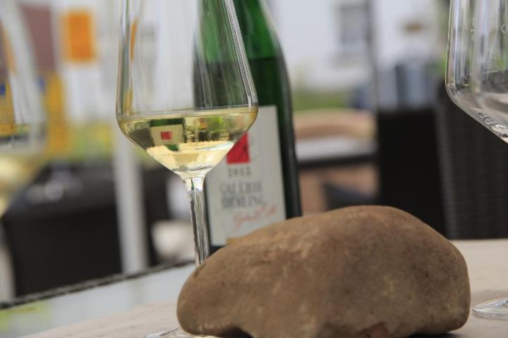 Galerie Riesling Ξενοδοχείο Trittenheim Εξωτερικό φωτογραφία